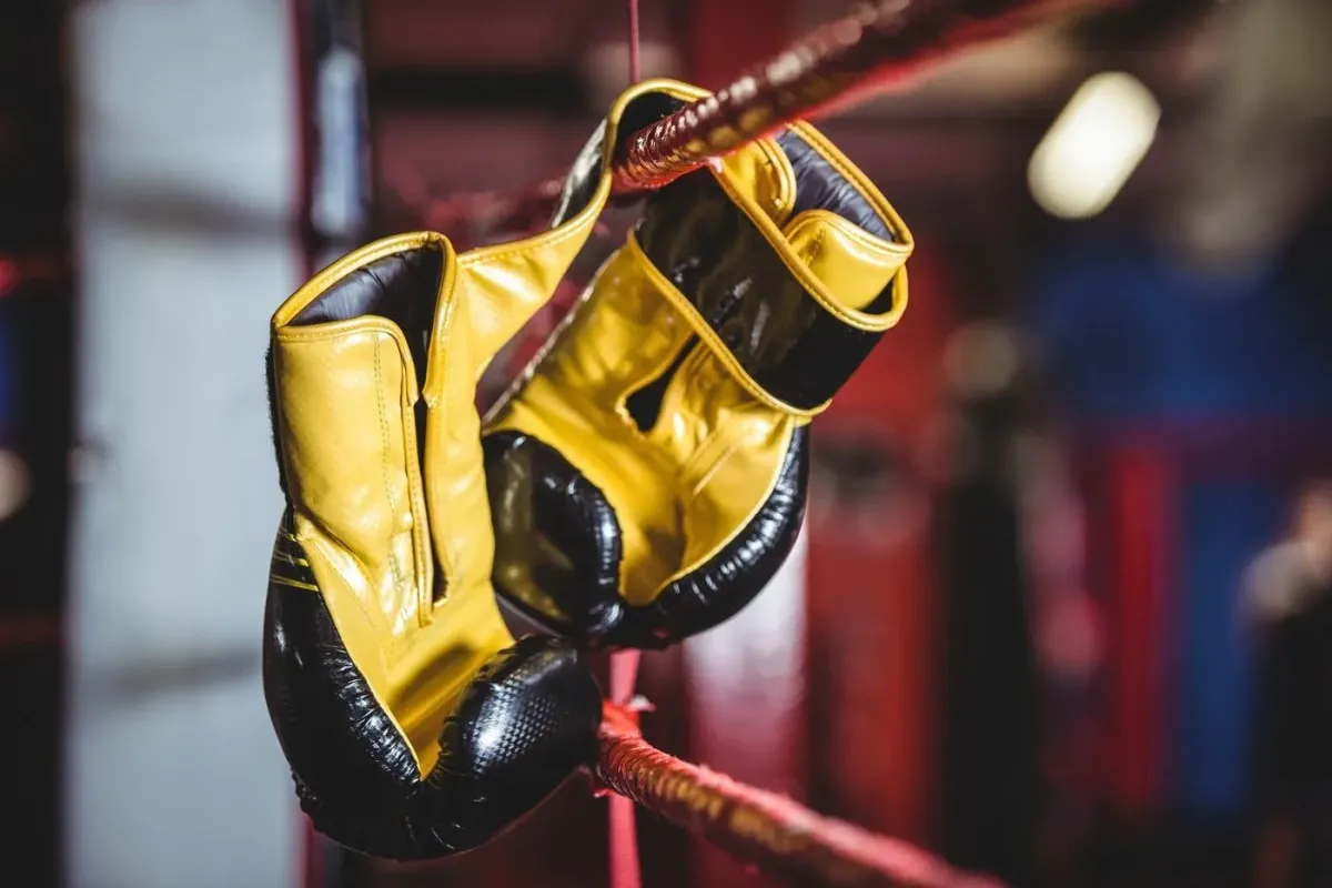 Mladý boxer byl nalezen u silnice bez známek života. Policie zahájila vyšetřování