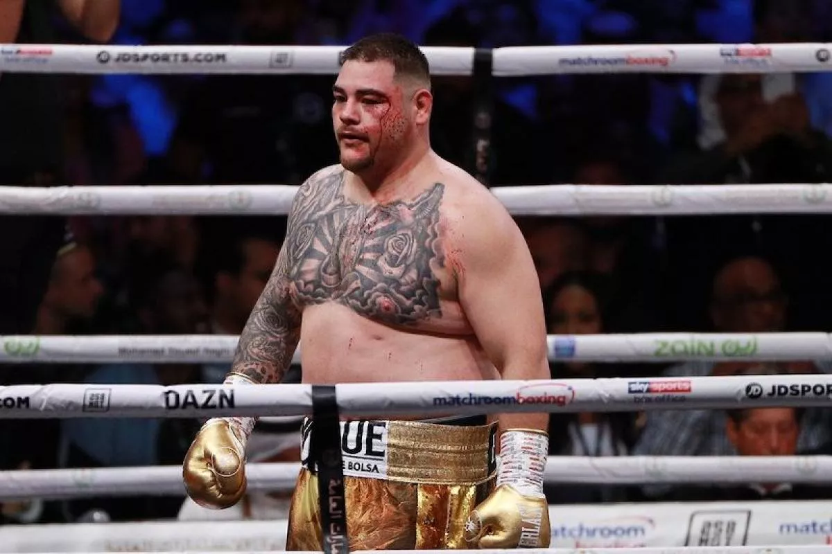 Proslulý tlouštík už není tlouštík. Boxerský šampion prošel neuvěřitelnou proměnou